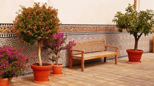 uin opknappen tips: Potplanten hebben veel water nodig bij drogere dagen. 