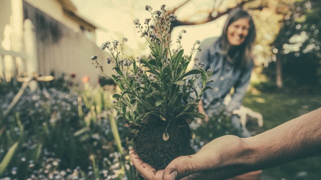 Tuin opknappen tips