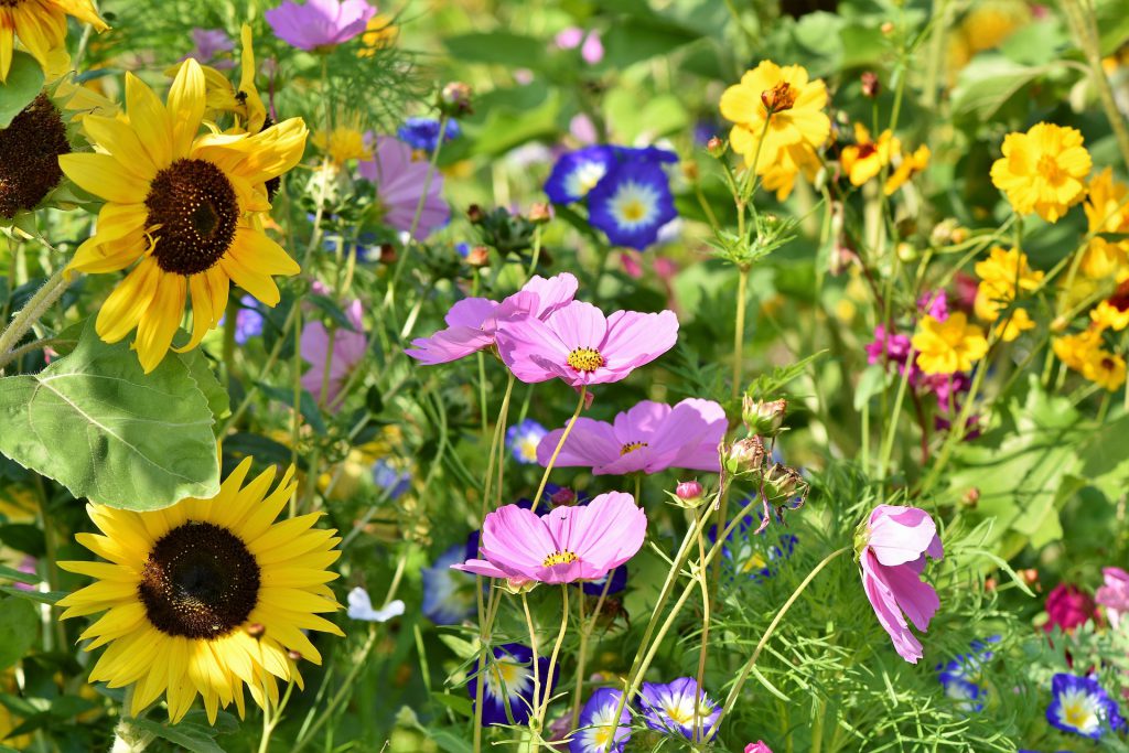 Voldoet jouw tuin nog?